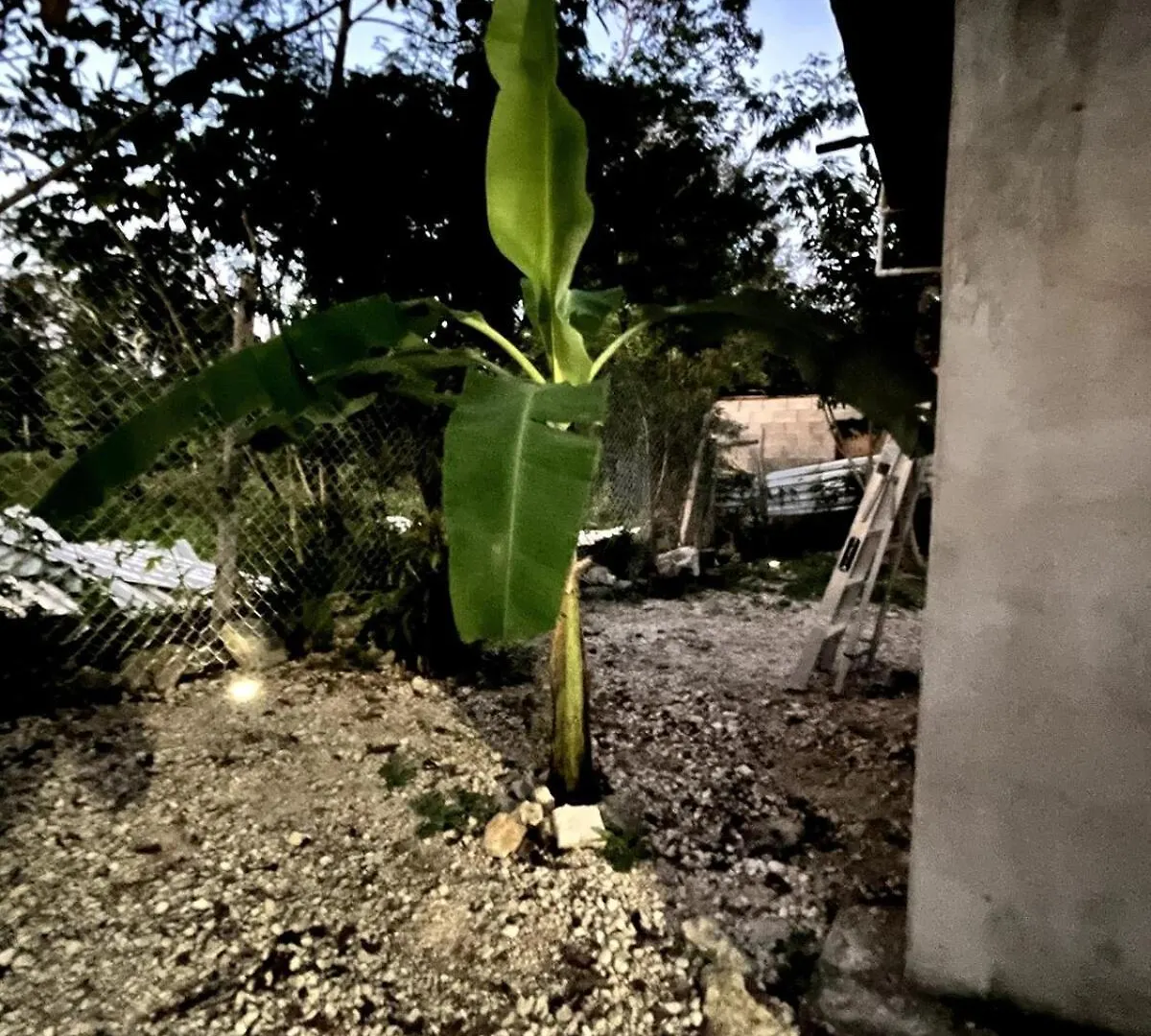 Linda Casa Privada En La Naturaleza De Tulum! Holiday home